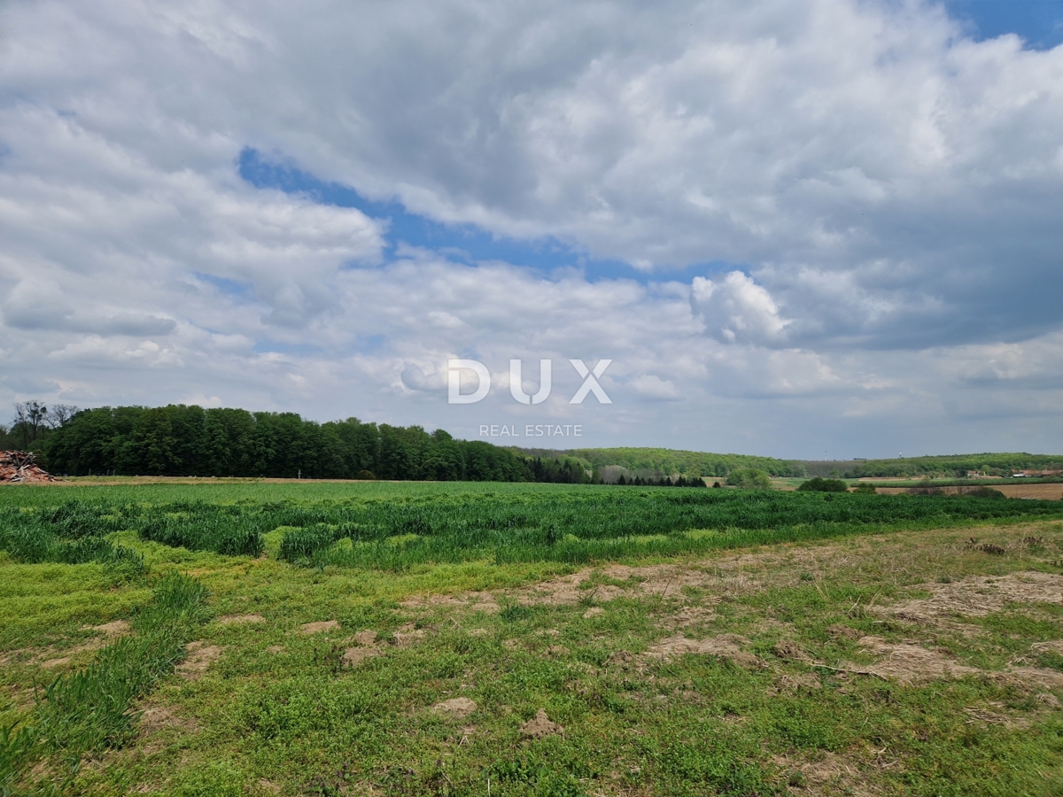 image 70