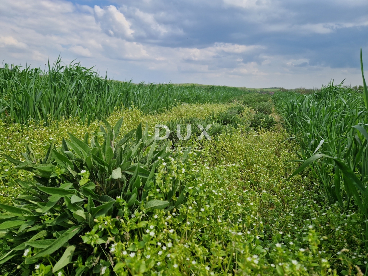 image 73