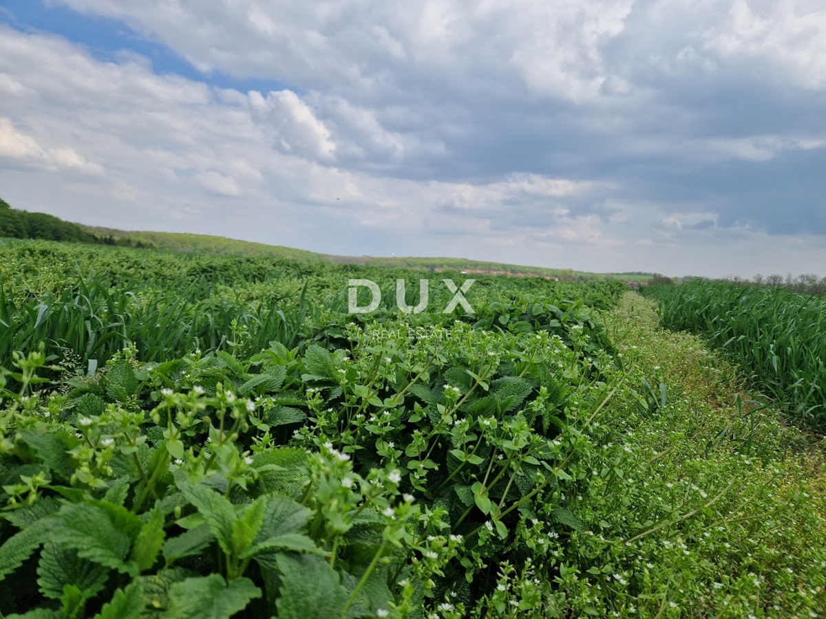 image 74