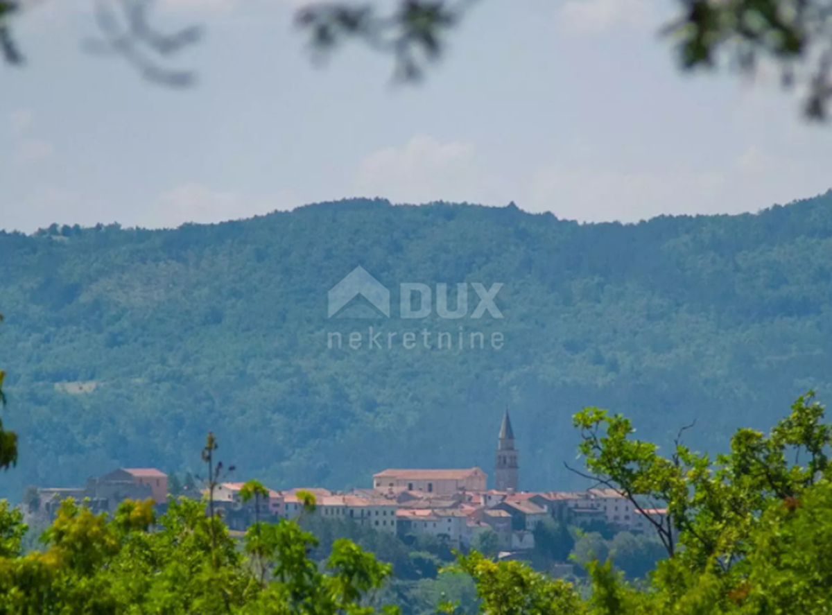 BUZET
