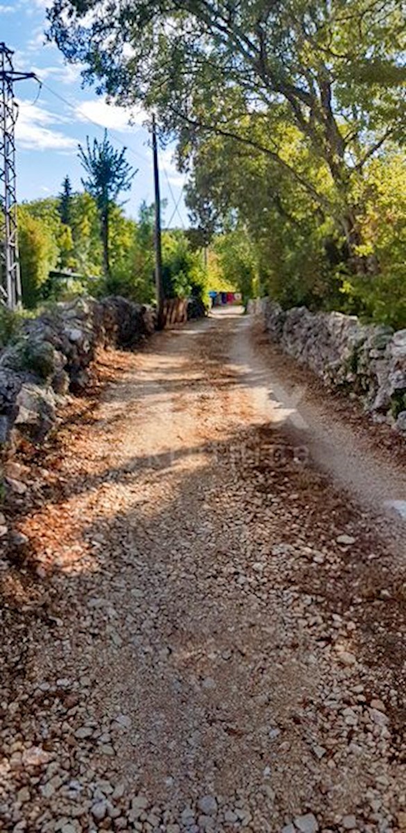 POLJE