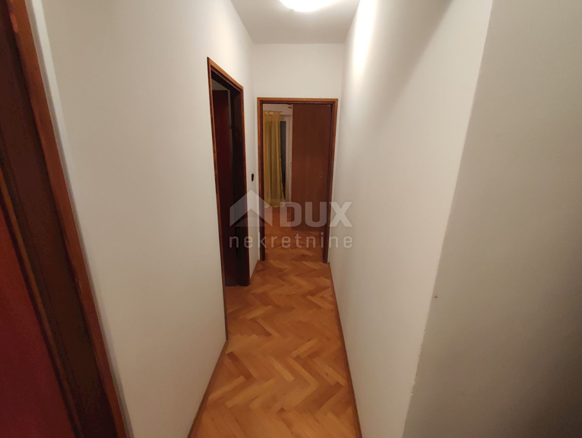 PLEŠIĆI