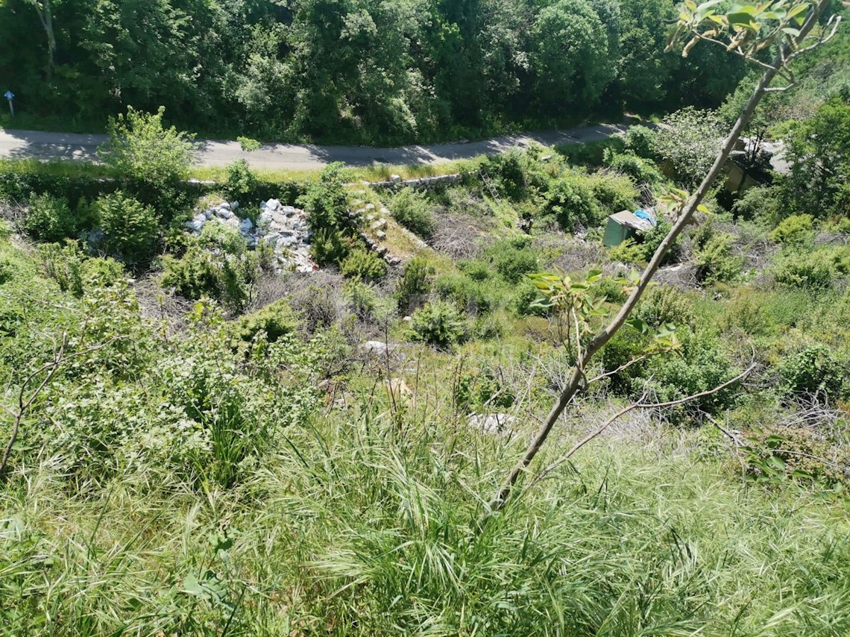 KRALJEVICA