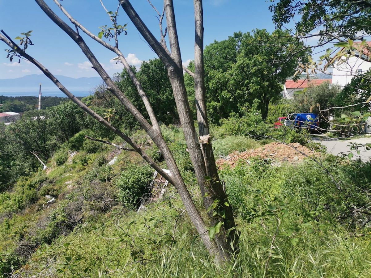 KRALJEVICA