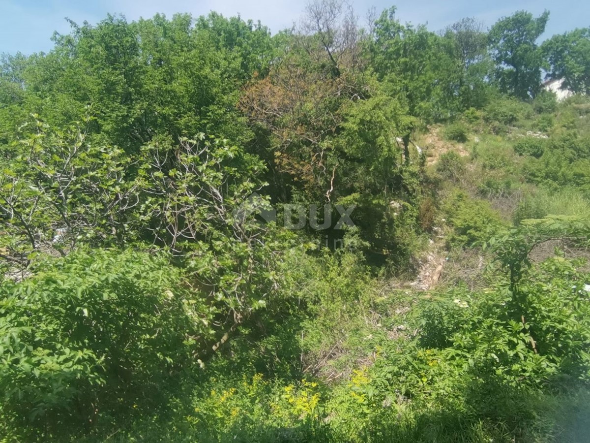 KRALJEVICA