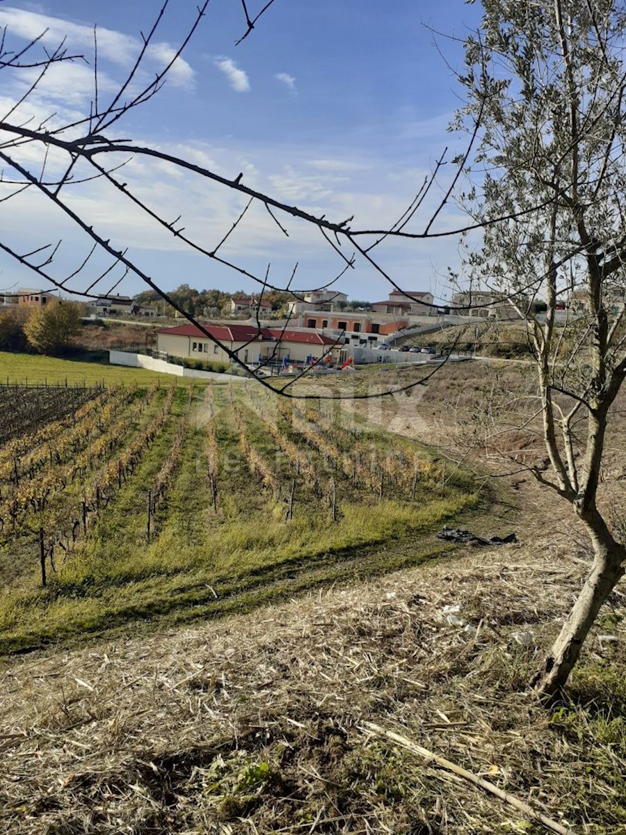 VIŽINADA