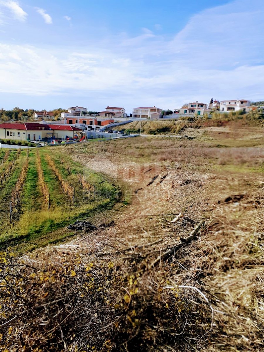 VIŽINADA