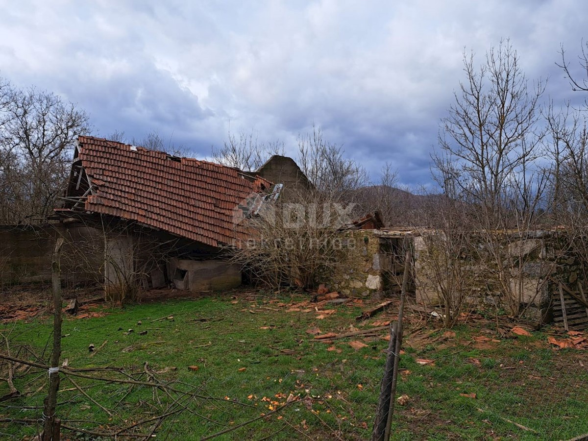 OGULIN