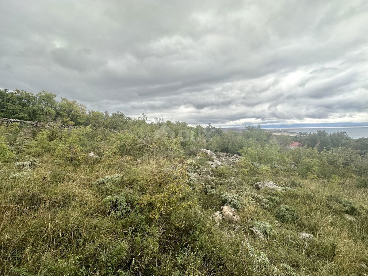 KRALJEVICA