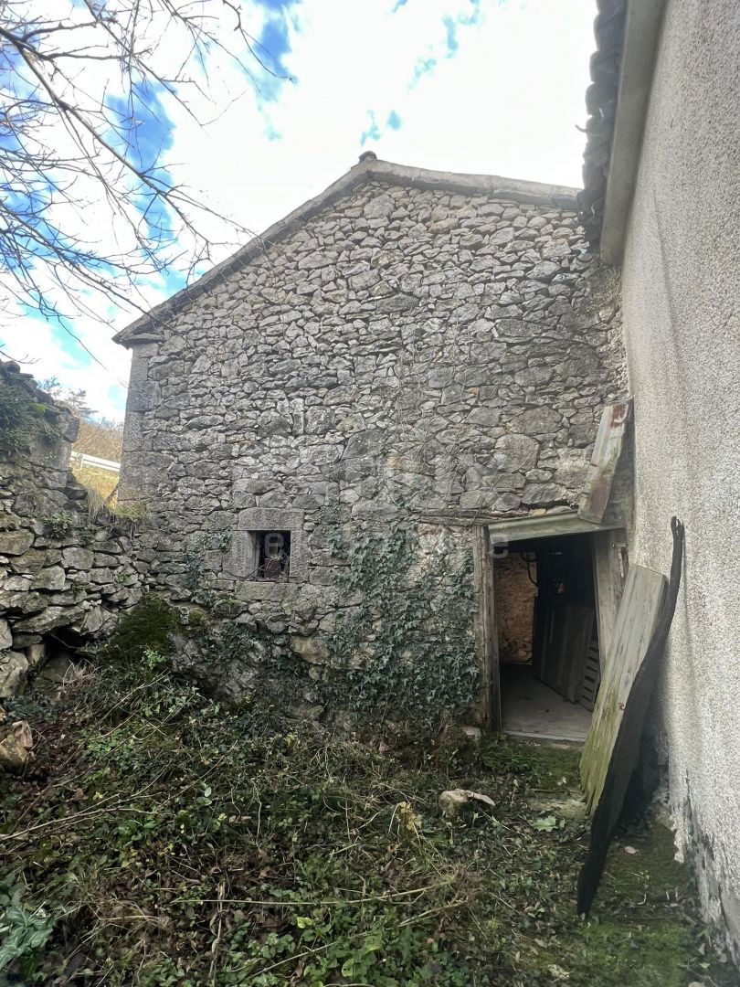 BUZET