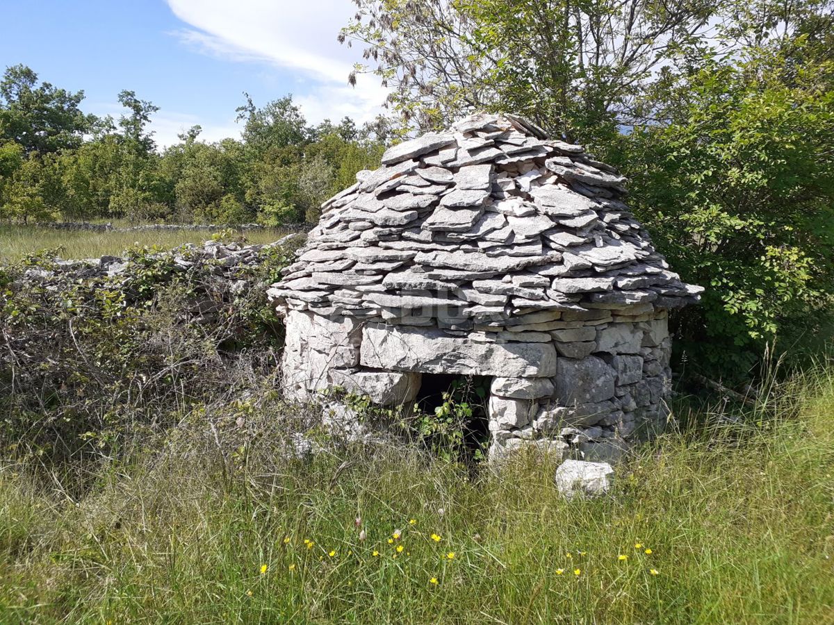 REŽANCI