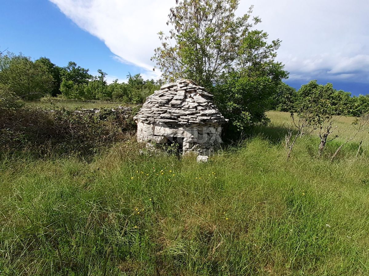 REŽANCI