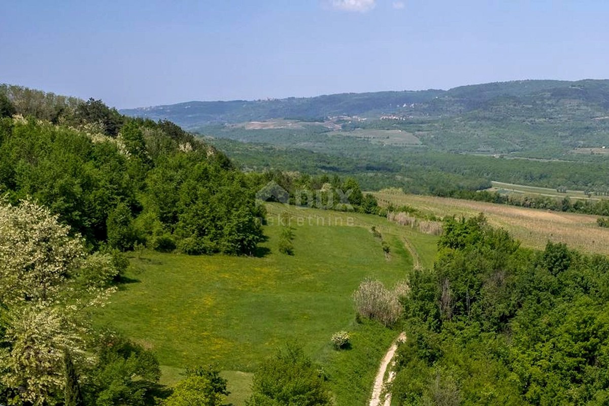 MOTOVUN