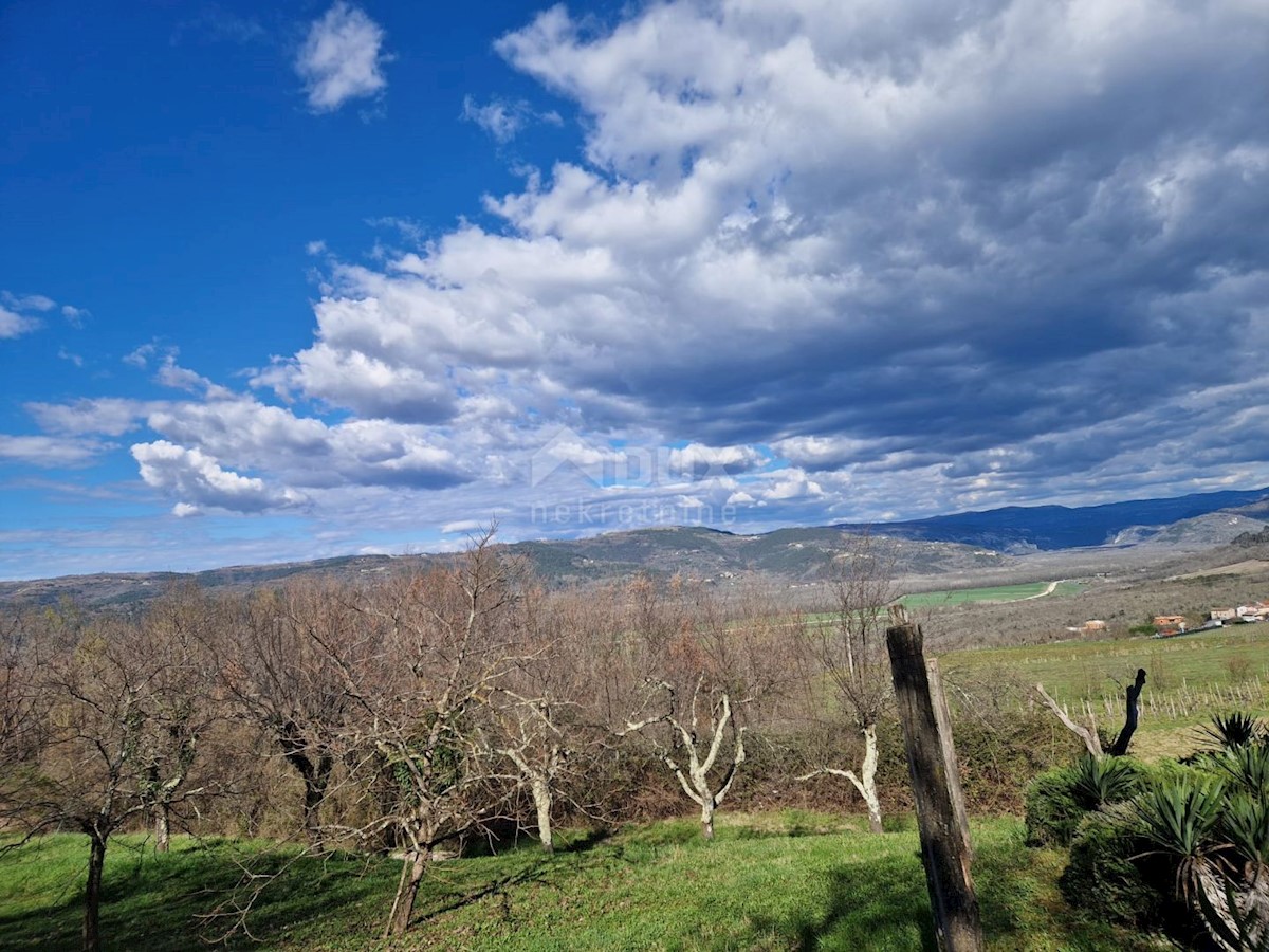 MOTOVUN