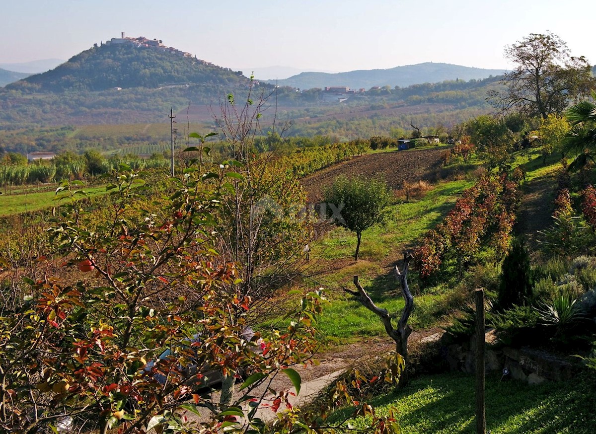 MOTOVUN