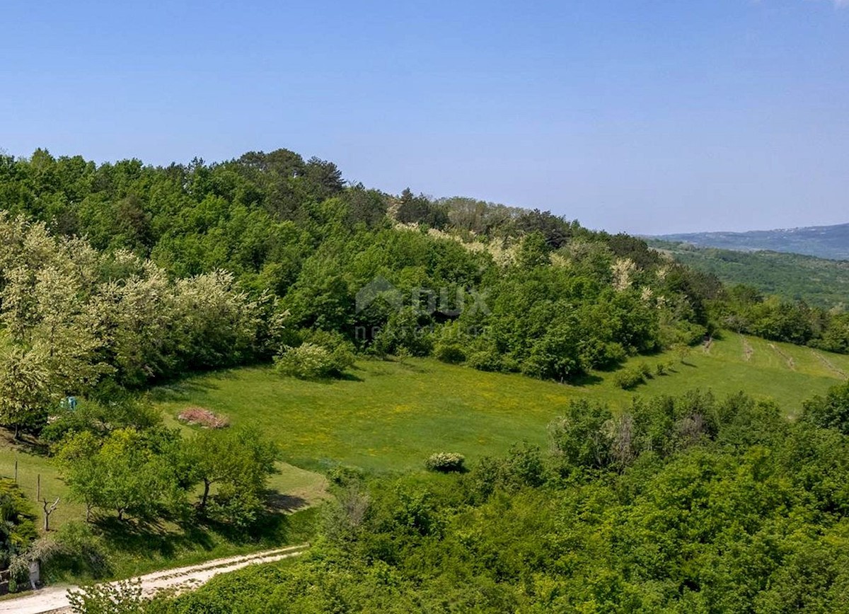 MOTOVUN