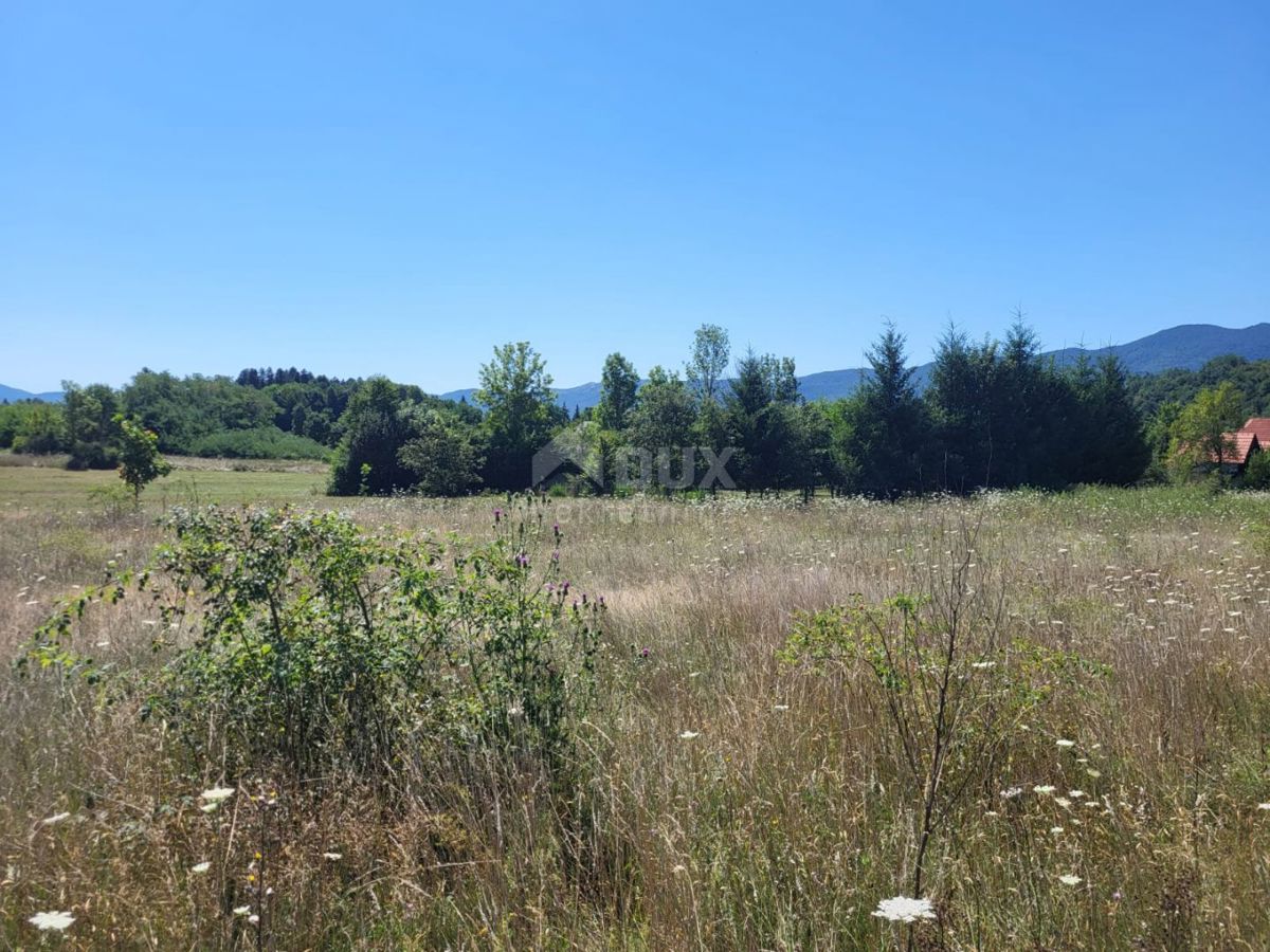 SVETI ROK
