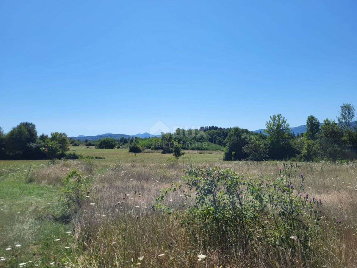 SVETI ROK
