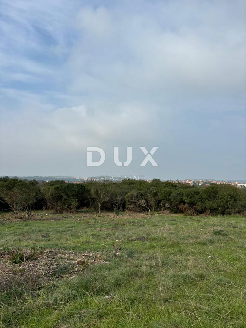 PULA