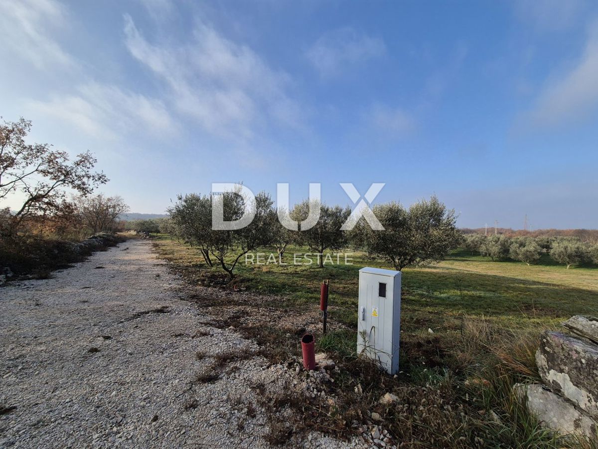 BUJE