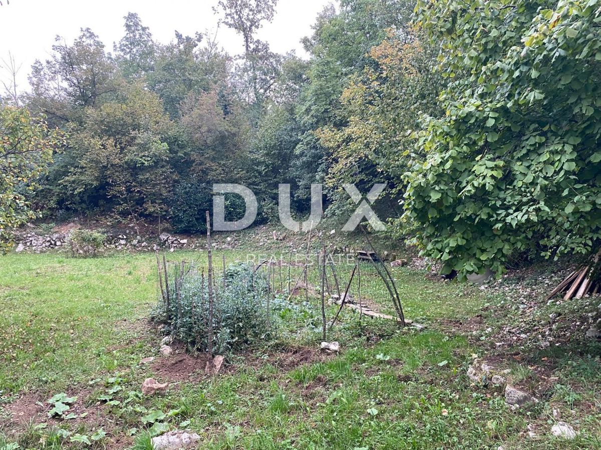 JUŠIĆI
