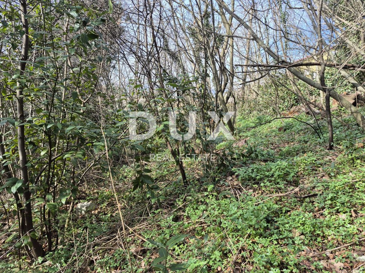 BUZDOHANJ
