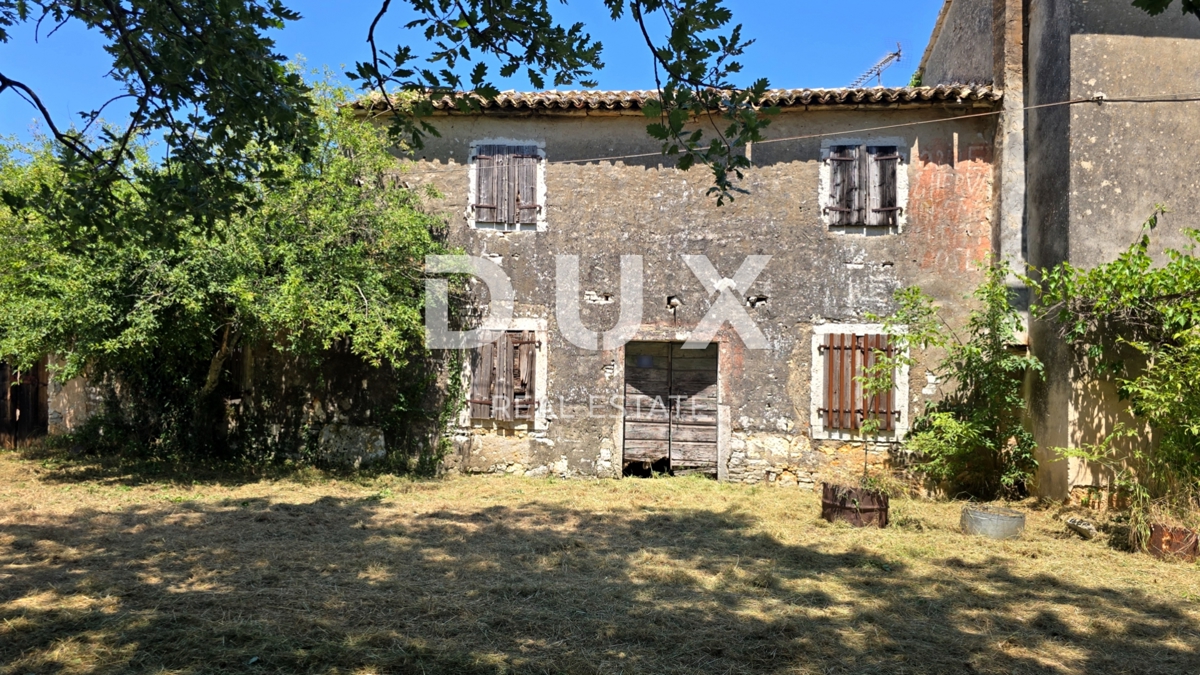 VIŽINADA