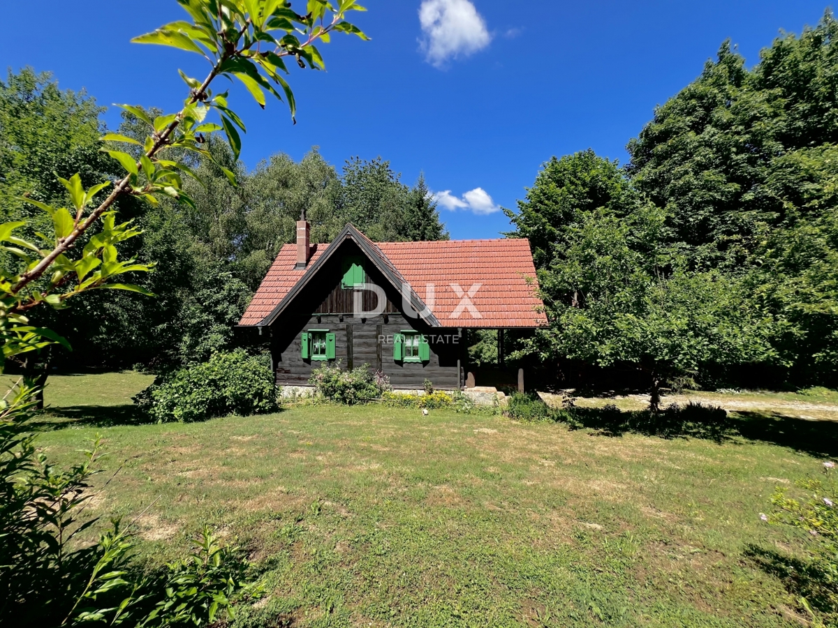 HLEVCI