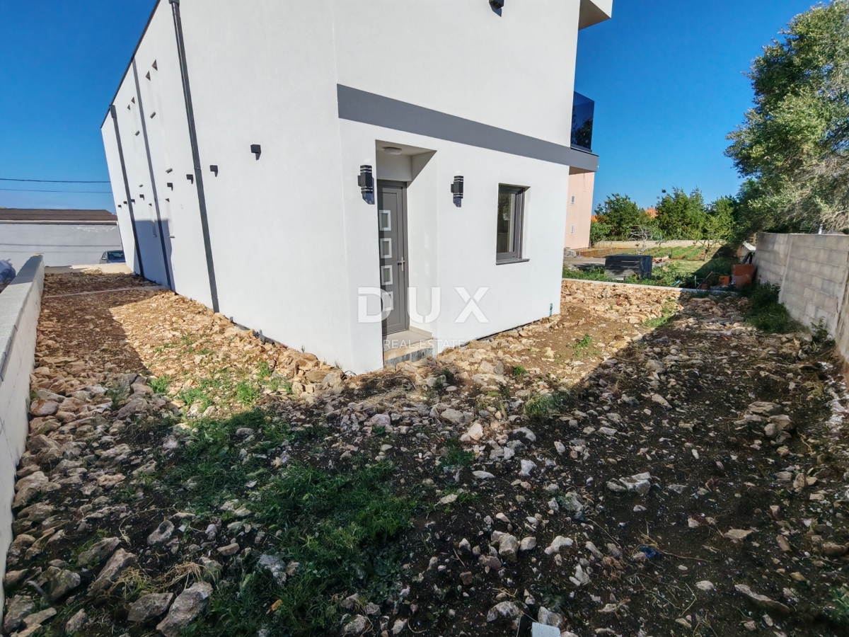 image 51