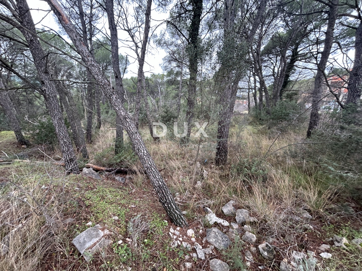 DUBRAVA KOD ŠIBENIKA