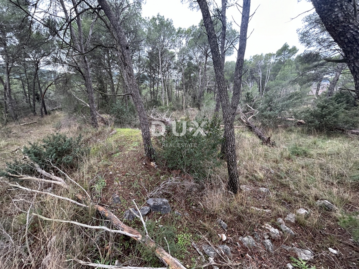 DUBRAVA KOD ŠIBENIKA