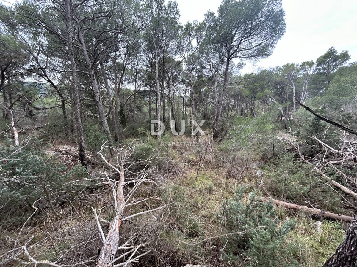 DUBRAVA KOD ŠIBENIKA