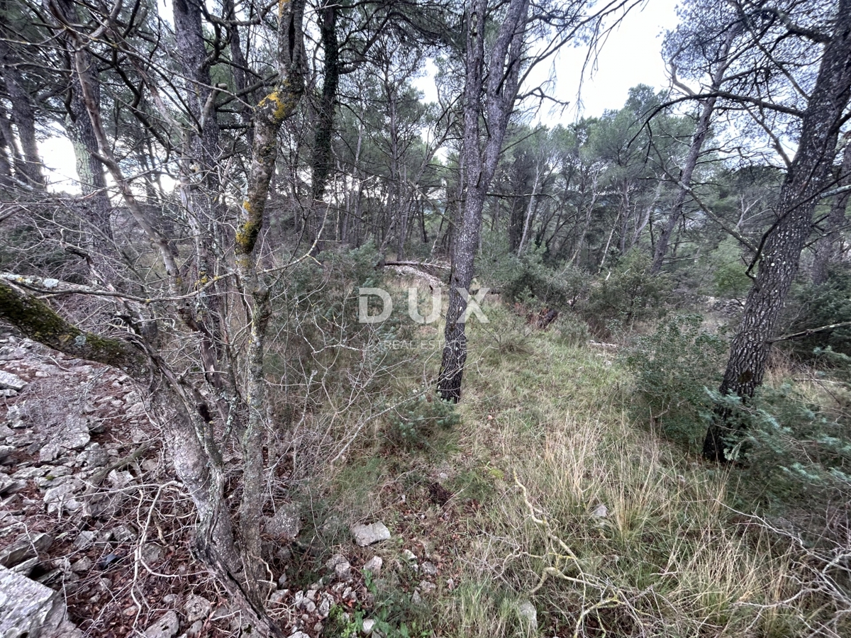 DUBRAVA KOD ŠIBENIKA