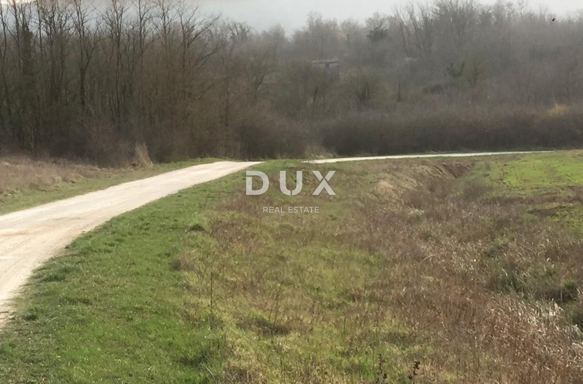 Terreno MOTOVUN, 298.000 €