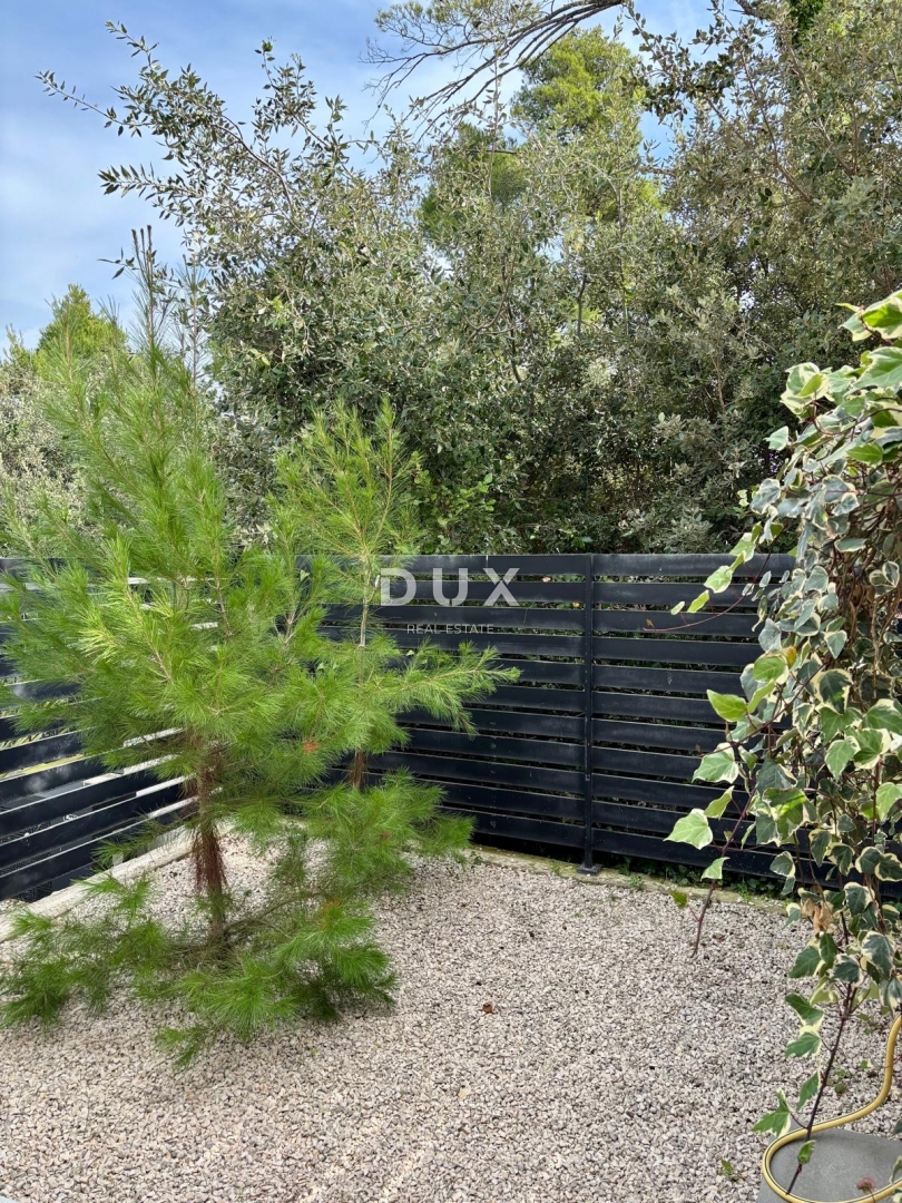 image 30