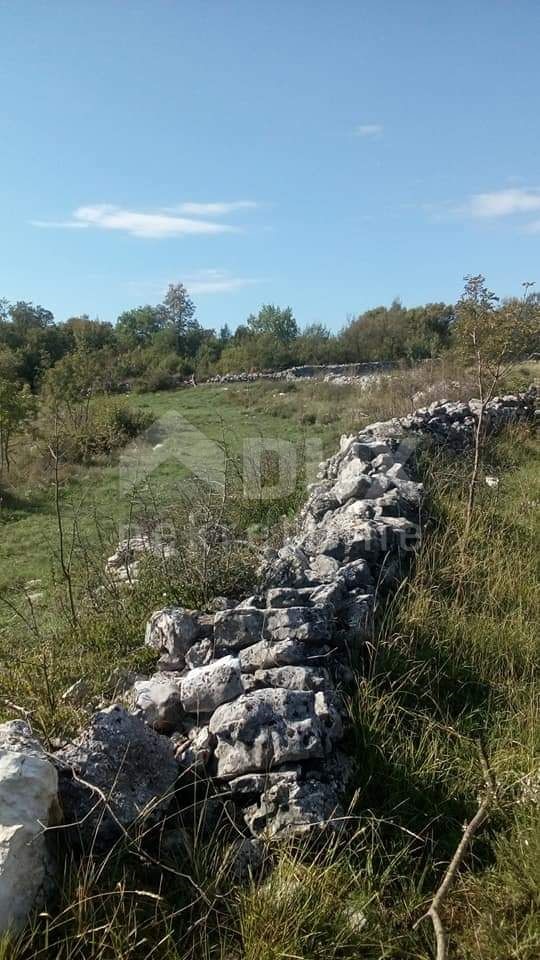 KANFANAR