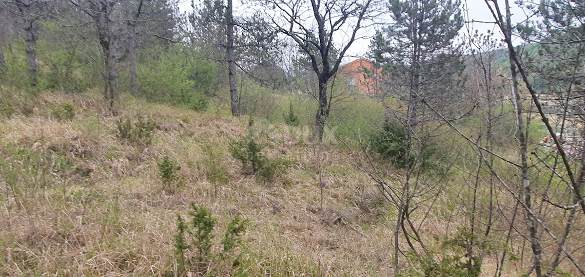CEROVLJE