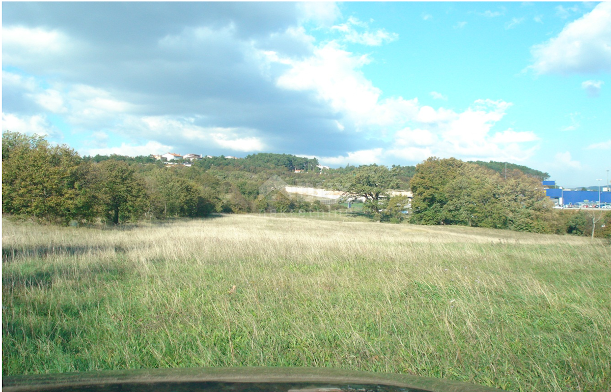 ČAVLE
