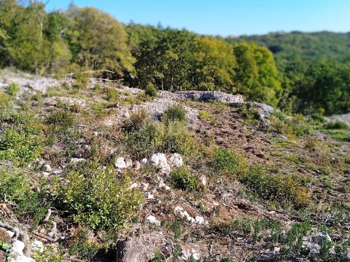BRSEČ