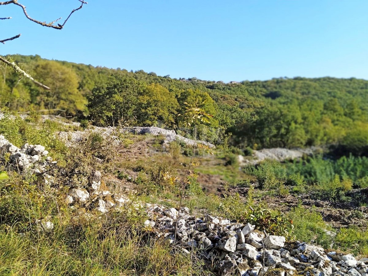 BRSEČ