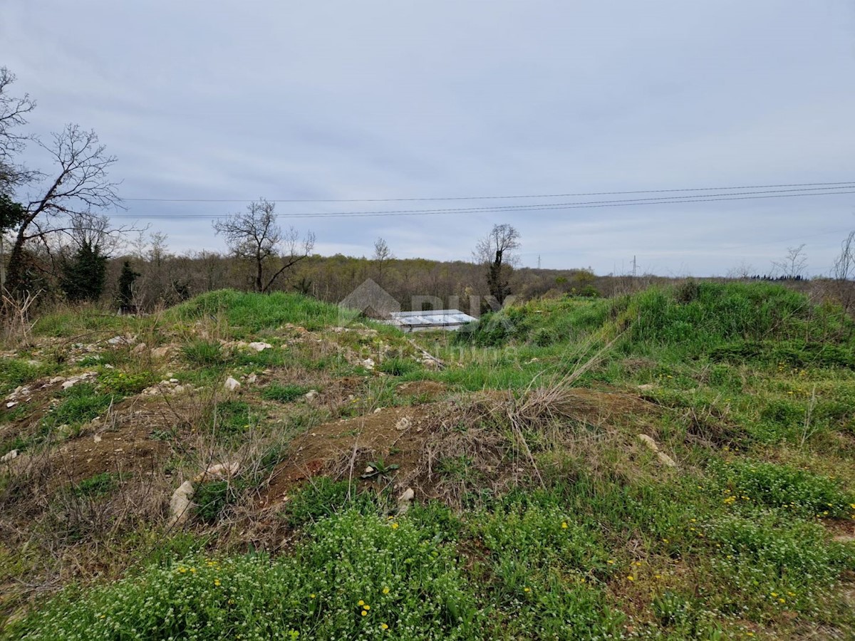 BRTONIGLA