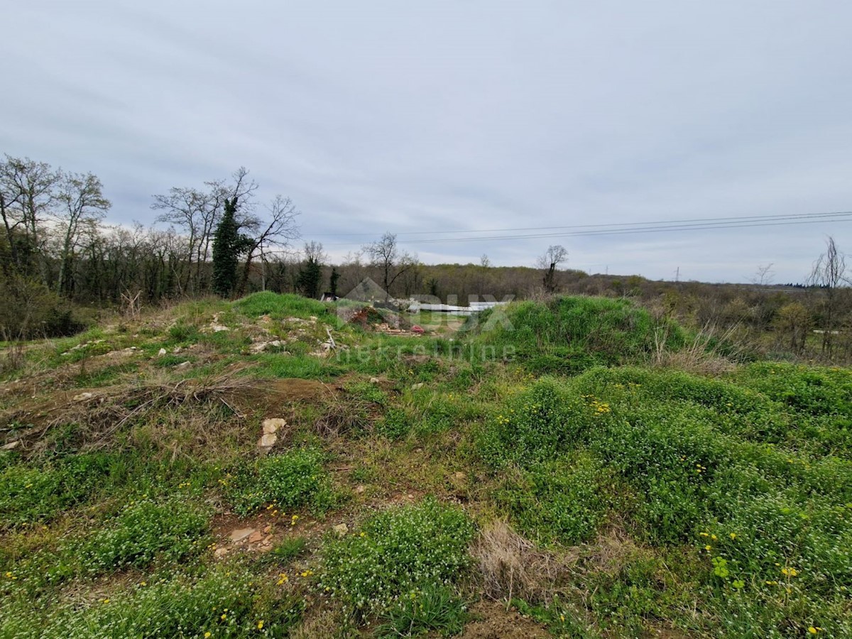 BRTONIGLA