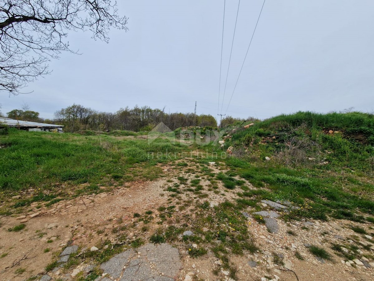 BRTONIGLA