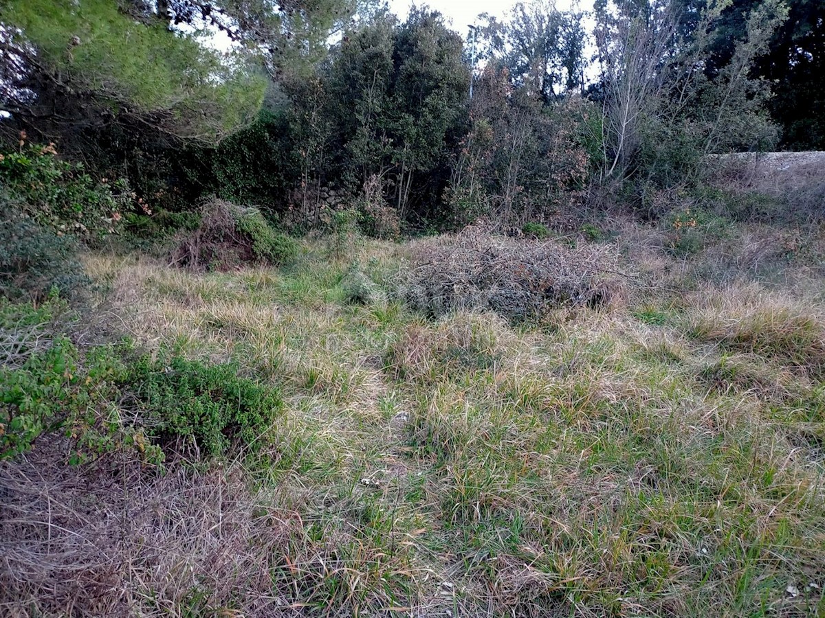 ŽDRELAC