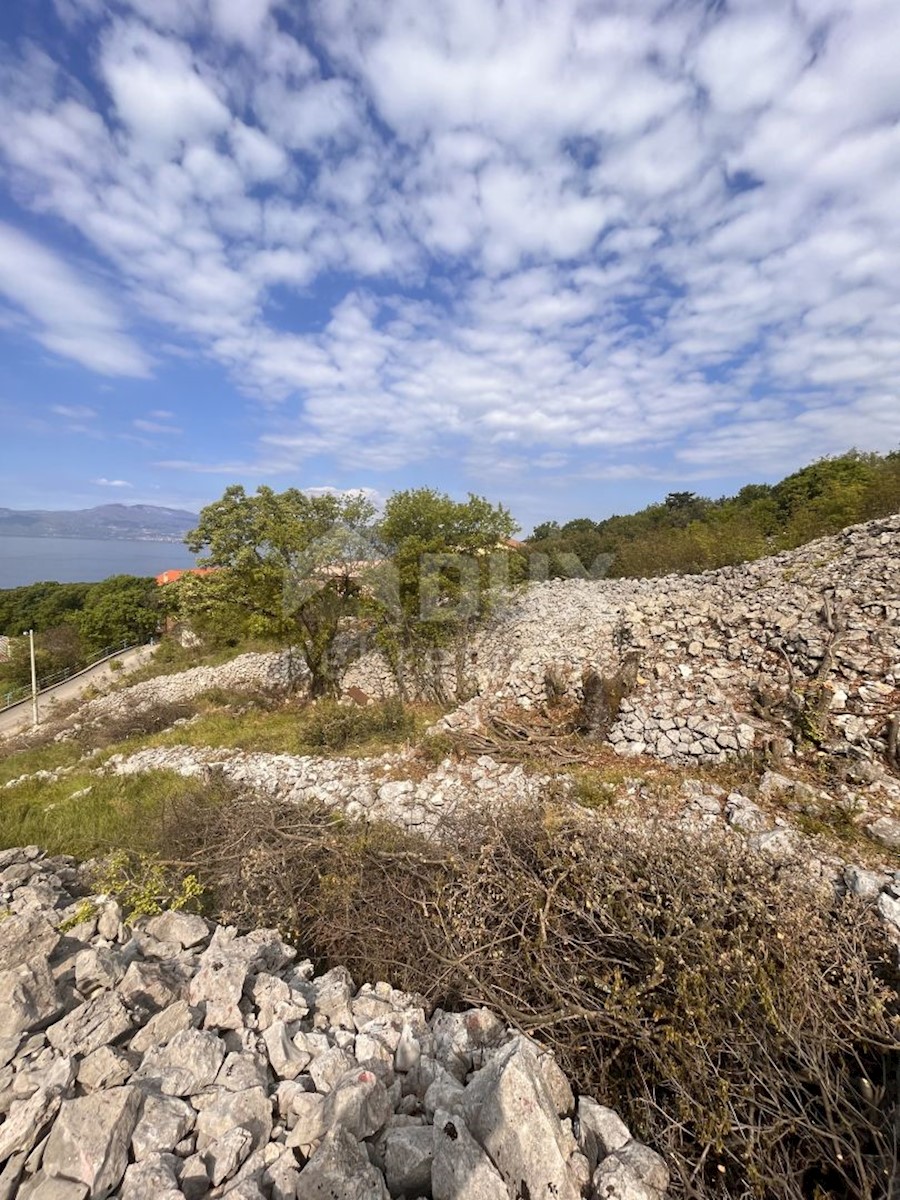 PLEŠIĆI