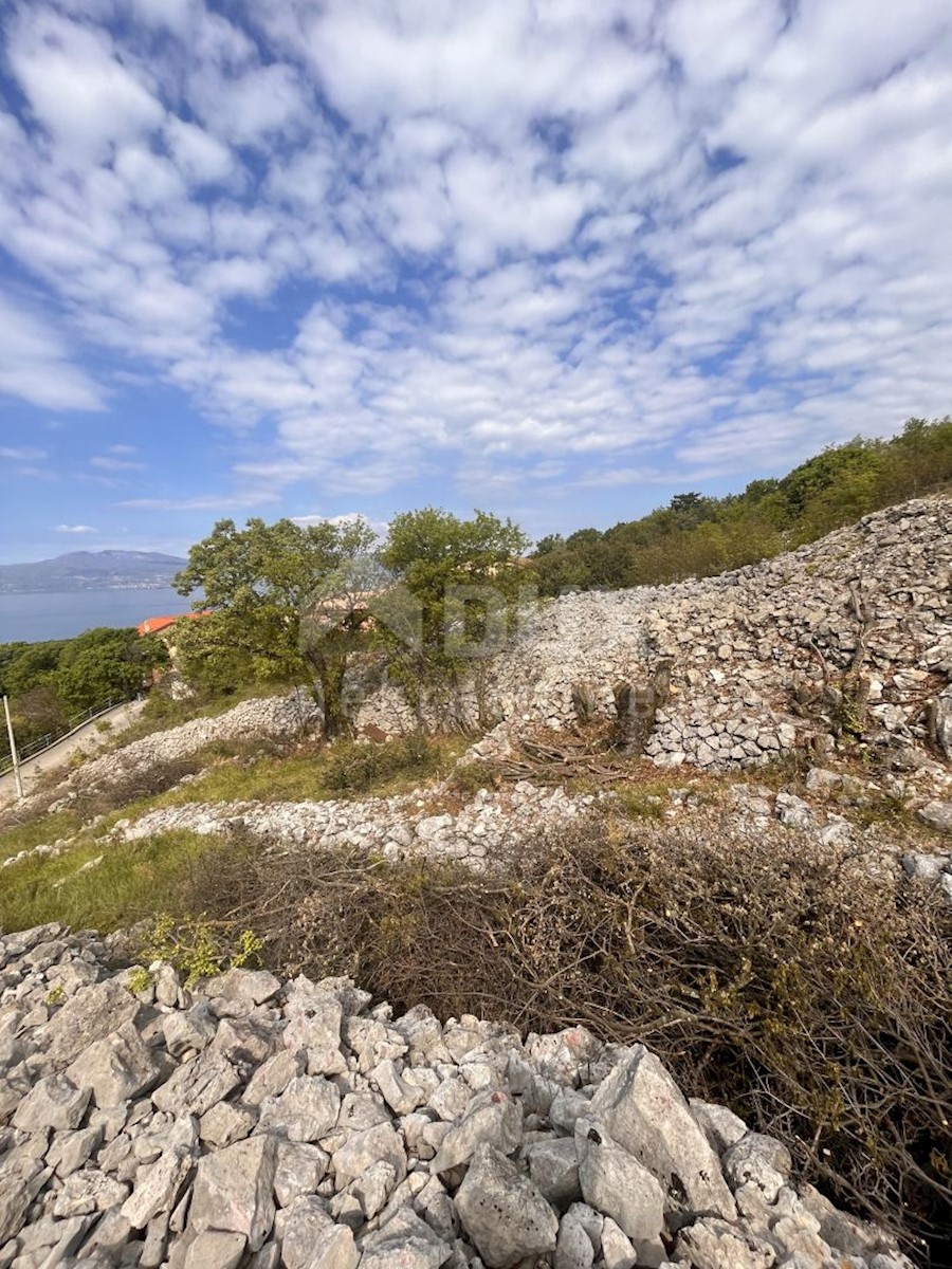 PLEŠIĆI