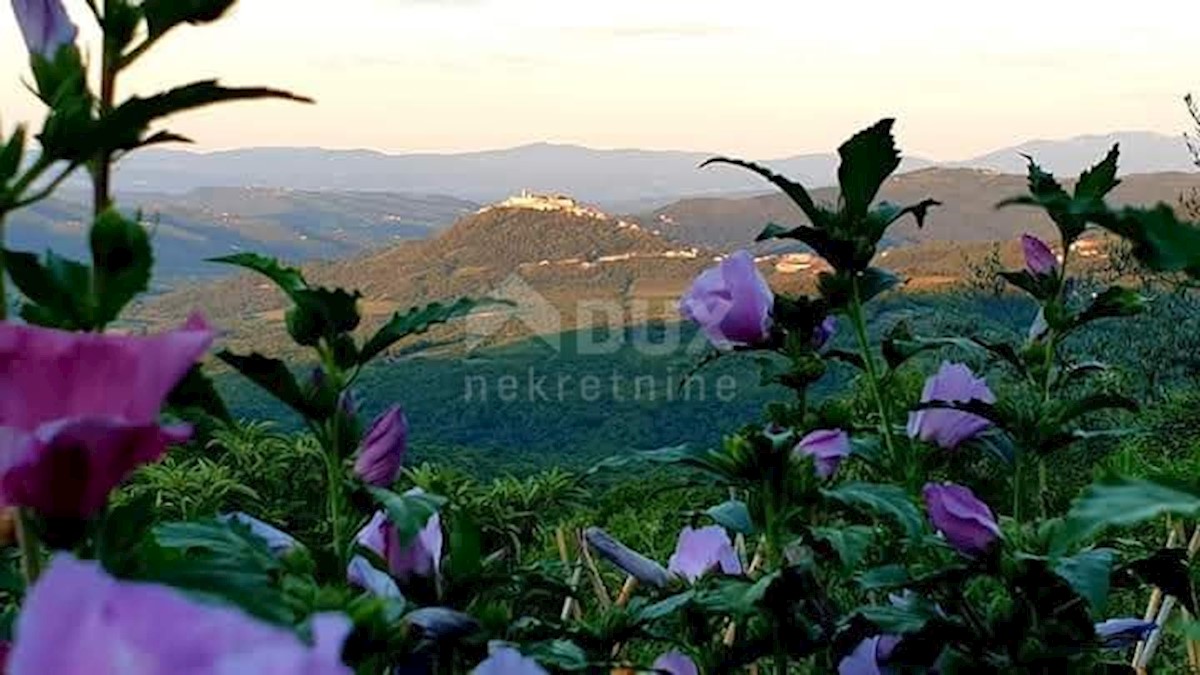 VIŽINADA