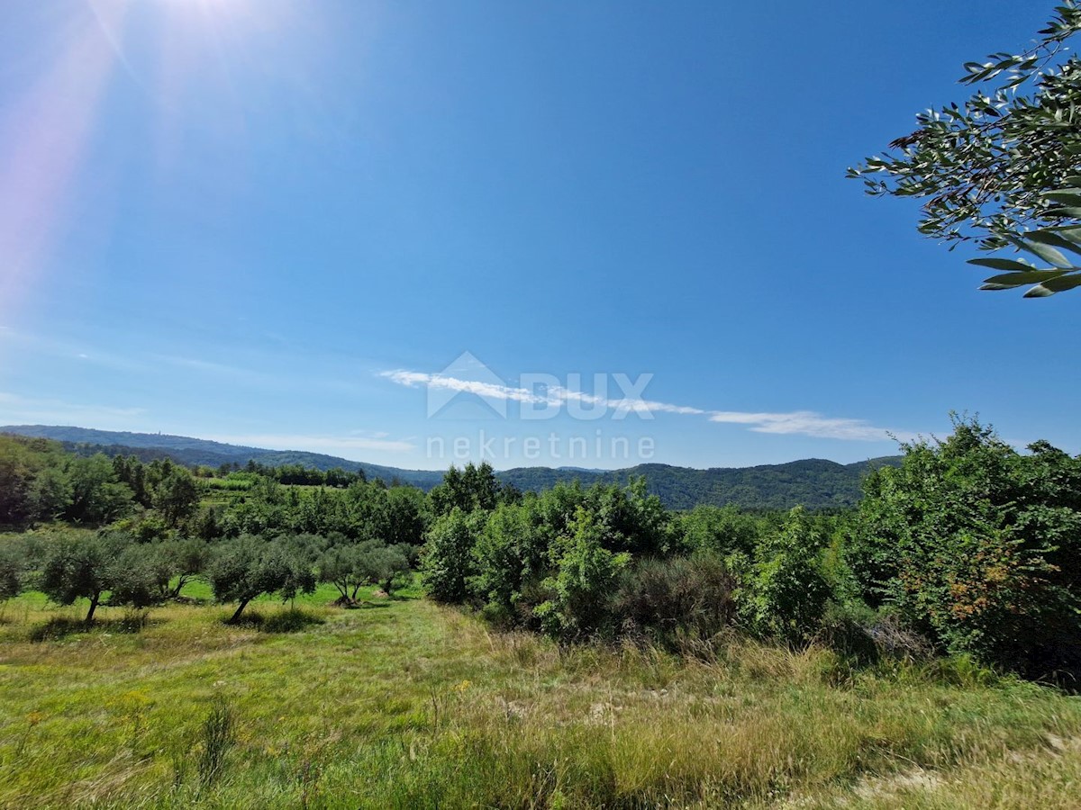 SOVINJAK