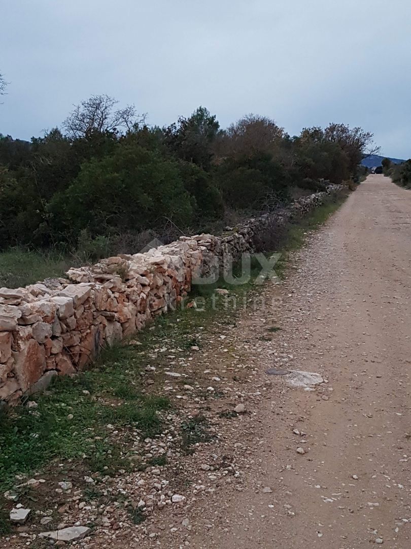 STARI GRAD