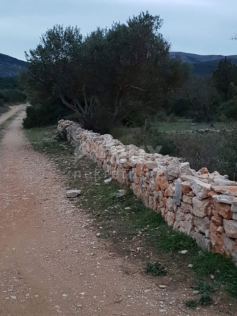 STARI GRAD
